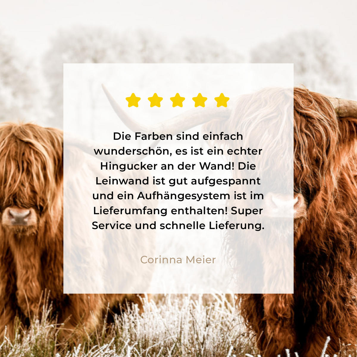 LEINWANDBILD Durchblick - Schottische Highlander - Tiere Wanddeko 90x60 cm - Hellbraun, Textil (90/60cm) - MuchoWow
