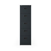 AKTENSCHRANK aus Metall SARA V5 460 x 1625,5 x 600 mm - Anthrazit, Metall (46/163/60cm) - Jan Nowak