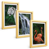 BILDER SET 3er Set - 20x30 cm Goldrahmen - Tiger Wasserfall Flamingos Natur - Goldfarben, Kunststoff (20/30cm) - TULUP