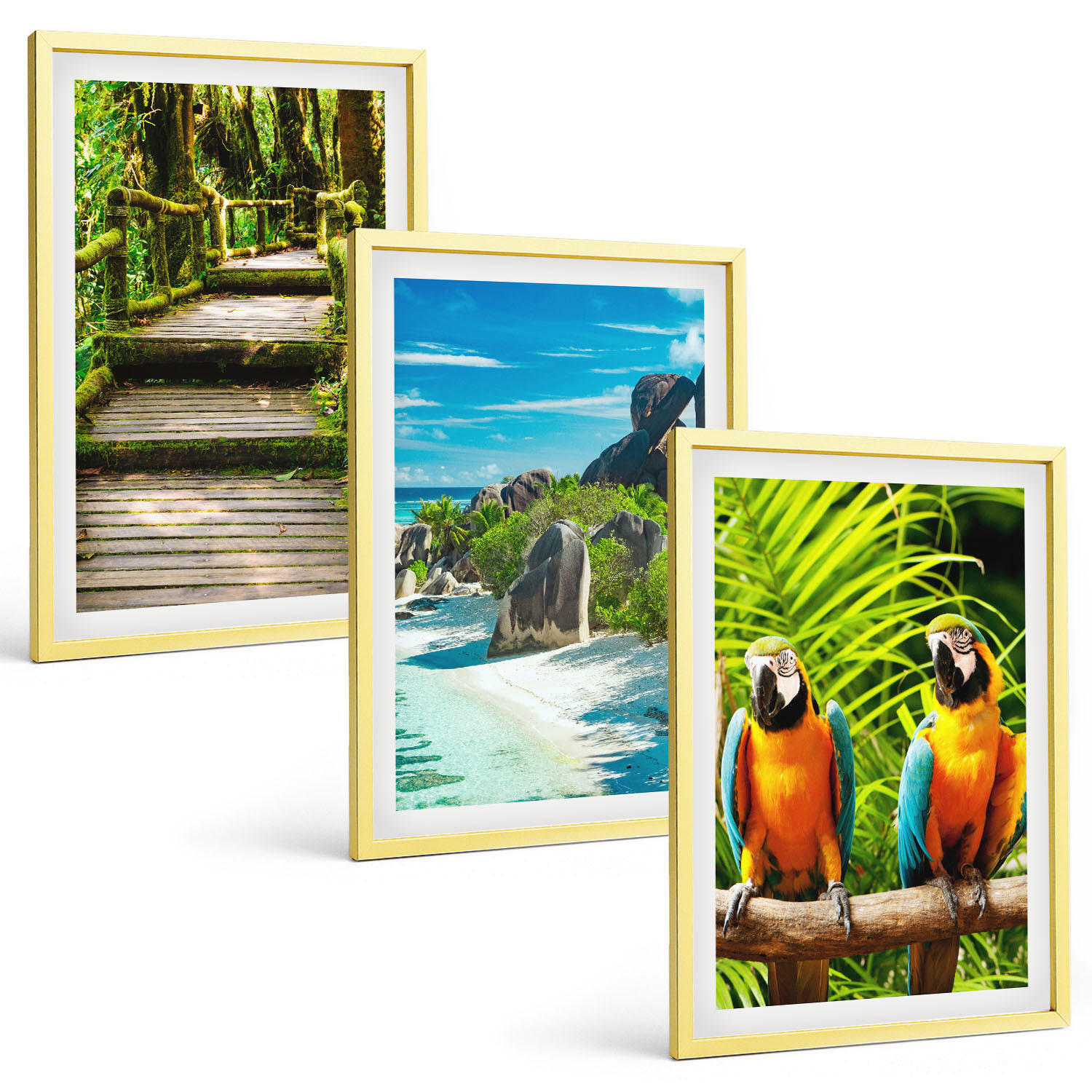 BILDER SET 3er Set - 40x60 cm Goldrahmen - Tropischer Wald Papageienwasserfall - Goldfarben, Kunststoff (40/60cm) - TULUP