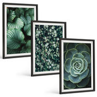 BILDER SET 3er Set - 40x60 cm Schwarzer Rahmen - Sukkulenten im Stil grüner Blätter - Schwarz, Kunststoff (40/60cm) - TULUP