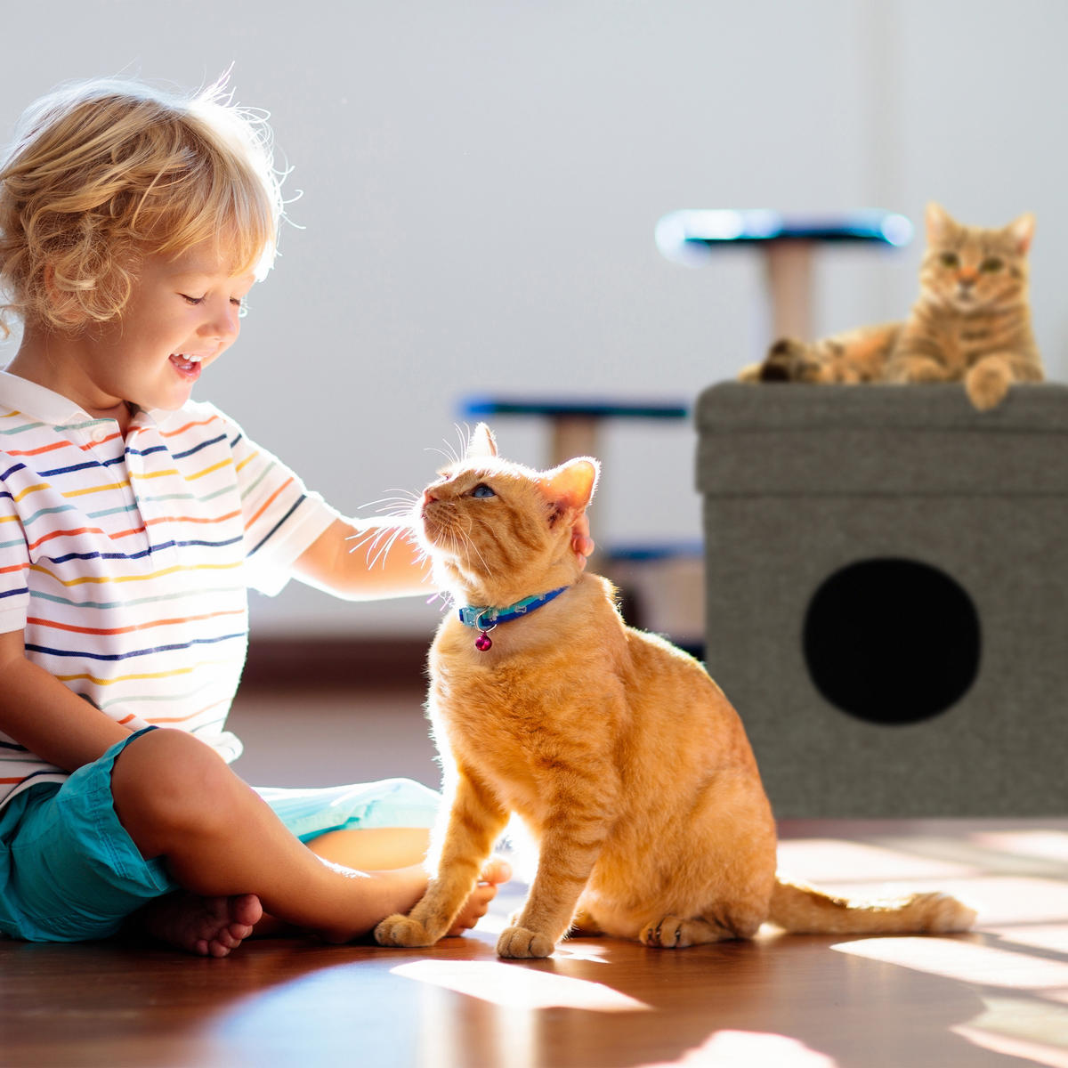 KATZENHÖHLE - Grau, Holzwerkstoff/Textil (38/44/38cm) - Relaxdays