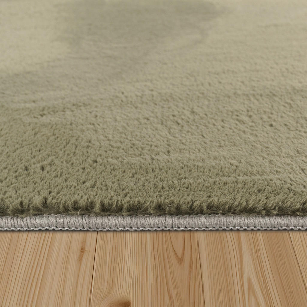 Thumbnail - Paco Home Hochflorteppich, Grün, Textil, Rechteckig, 60x90 cm, strapazierfähig, für Fußbodenheizung geeignet, Teppiche &...