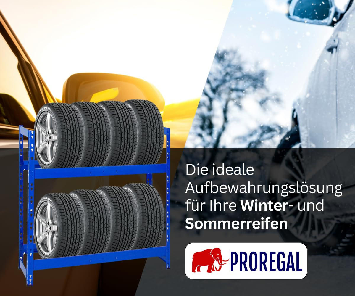 REIFENREGAL Tiger 100x110x35 cm 150 kg Fachlast bis zu 8 Reifen auf 2 Ebenen Blau - Blau, Metall (110/100/35cm) - PROREGAL