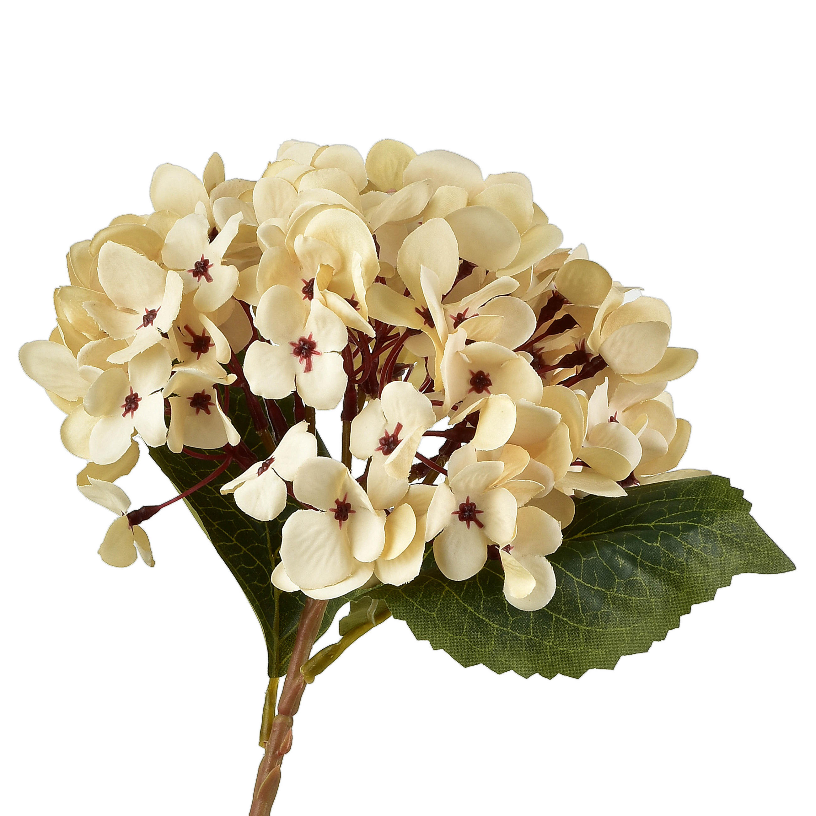 KUNSTBLUME Viridis Beige 17x17x47 cm Kunststoff - Beige, Kunststoff (47cm) - Mondex