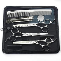 FRISEURSCHEREN Set 6 Zoll Edelstahl mit Zubehör - Silberfarben, Metall (6/1/15.2cm)