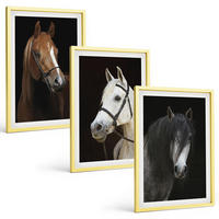 BILDER SET 3er Set - 40x60 cm Goldrahmen - Porträts von Pferden in verschiedenen Fellfarben - Goldfarben, Kunststoff (40/60cm) - TULUP
