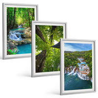 BILDER SET 3er Set - 40x60 cm Silberner Rahmen - Wasserfälle grüner Wald Wasser - Silberfarben, Kunststoff (40/60cm) - TULUP