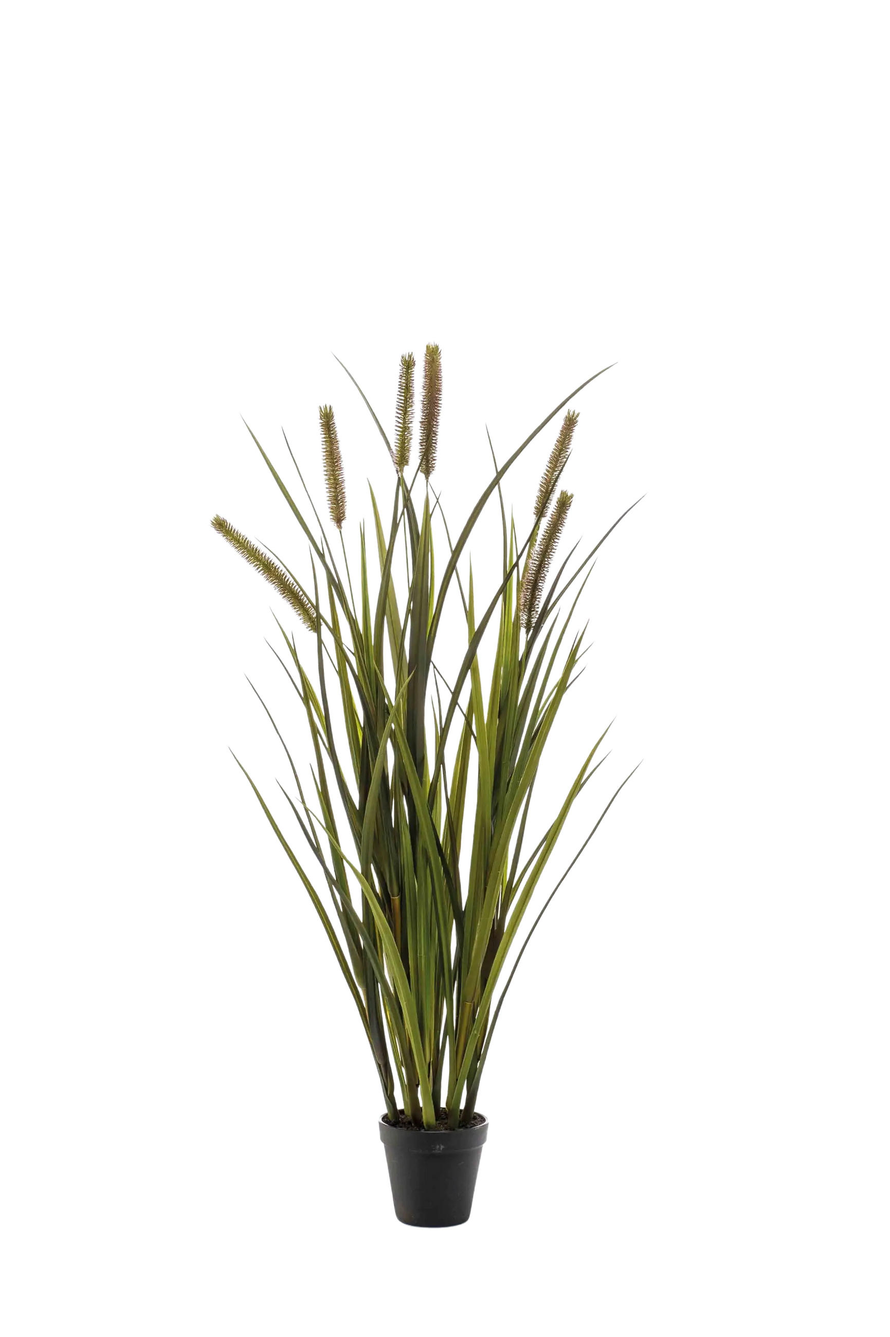KUNSTPFLANZE Künstliches Federborstengras - Patrizia 85 cm - Grün, Kunststoff (85cm) - Emerald