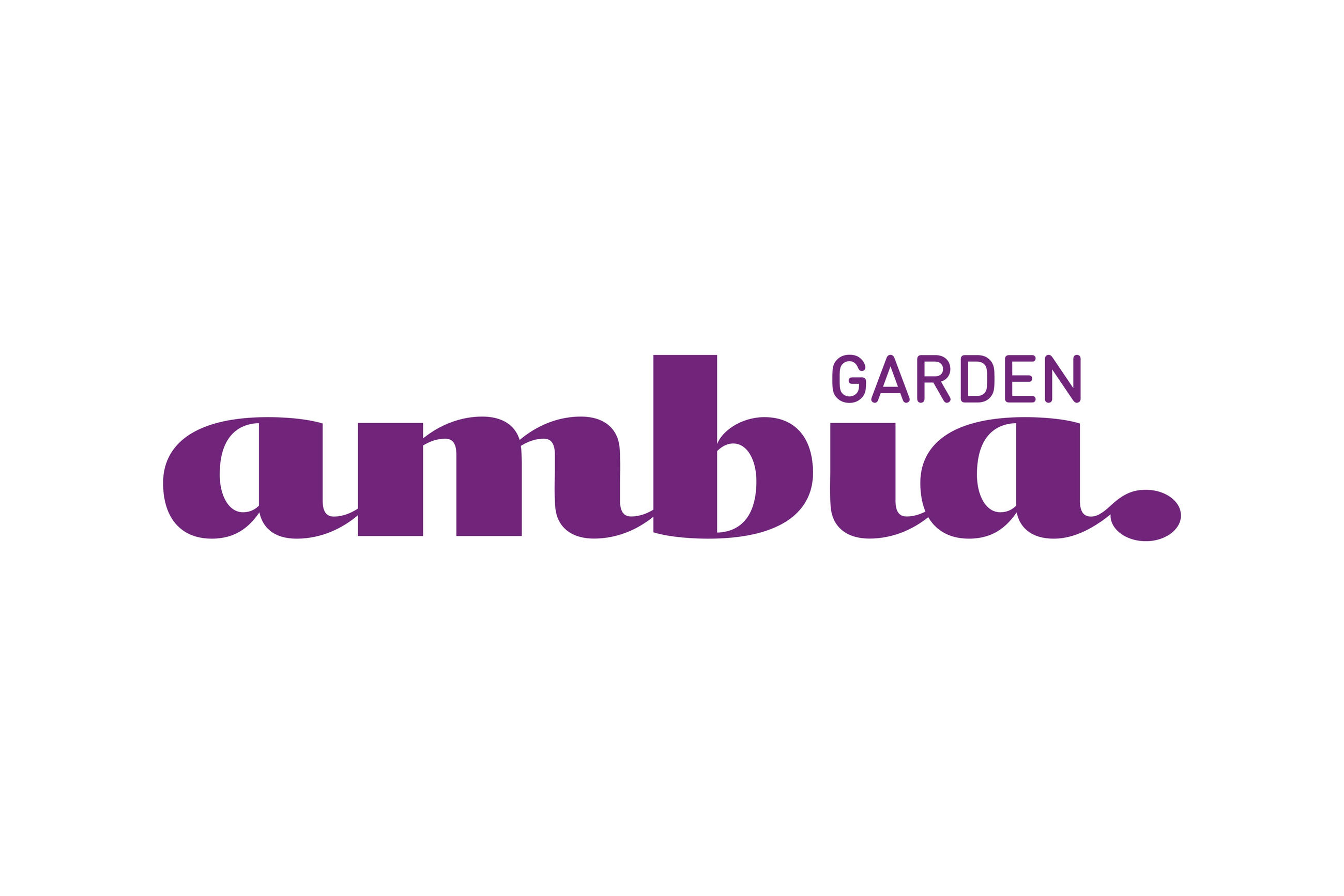 ambia logo