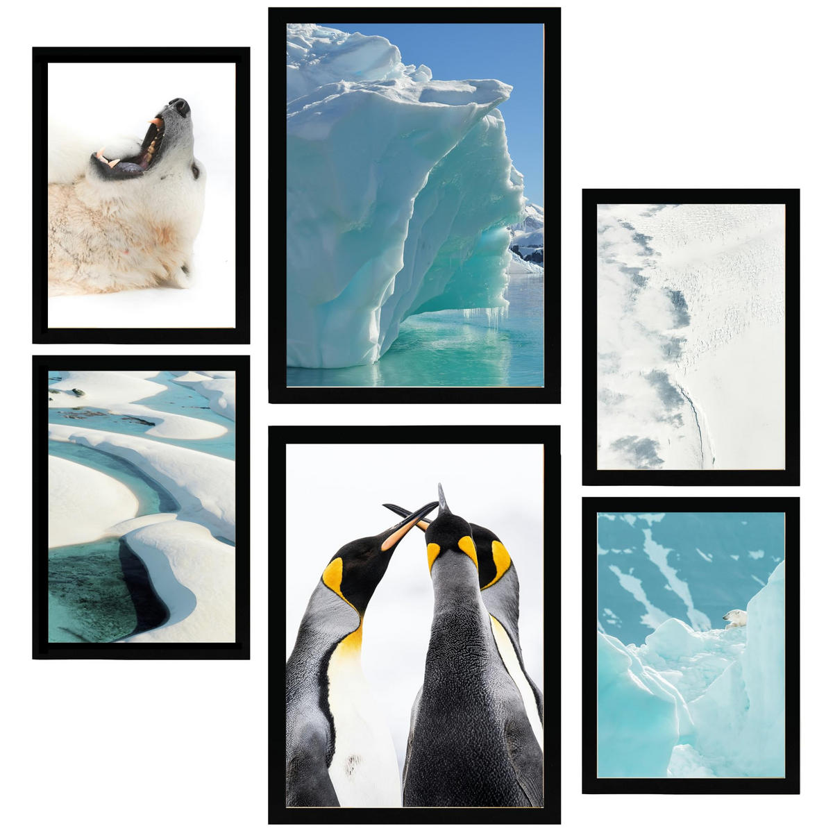 POSTER Set Mit 6 Eis In Der Antarktis Bär & Pinguine Im Türkisfarbenen Wasser A3 & A4 Schwarzer Rahmen - Schwarz, Papier (29/3cm) - Nacnic