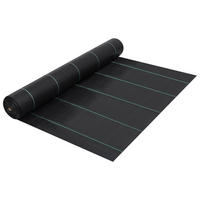 UNKRAUTFOLIE 2/50 m, aus PP, Schwarz - Schwarz, Textil (200/5000cm) - vidaXL