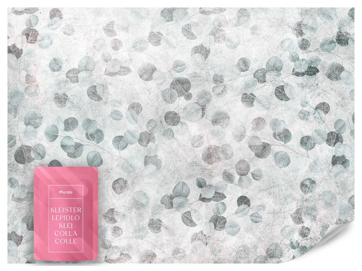 FOTOTAPETE Eukalyptusblätter Beton Vintage Stil 450x315 - Grau/Grün, Papier (450/315cm) - Muralo