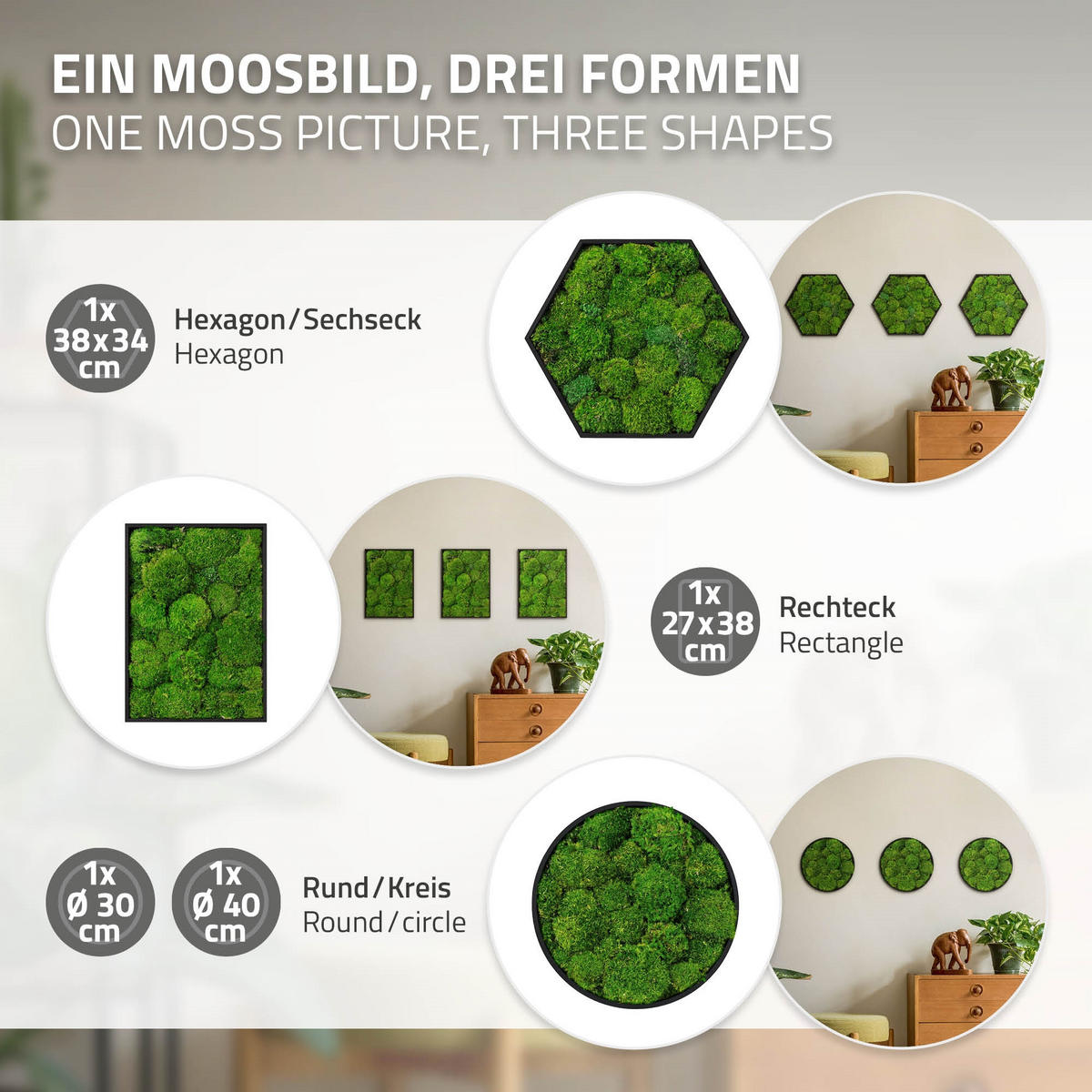 MOOSBILD Rund Ø 30 cm Mooswand Indoor mit Echtem Kugelmoos und Holzrahmen Grün Pflegefrei - Grün, Naturmaterialien (30/30/3cm) - ECD-Germany