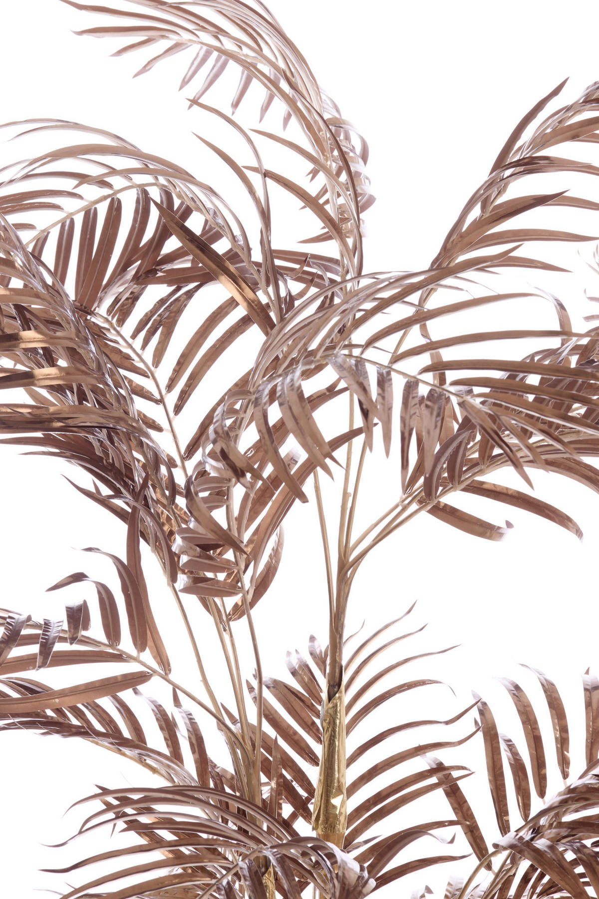 TOPF Palme Bronze 145/135/135 cm - Bronzefarben, Kunststoff (135cm) - Light & Living