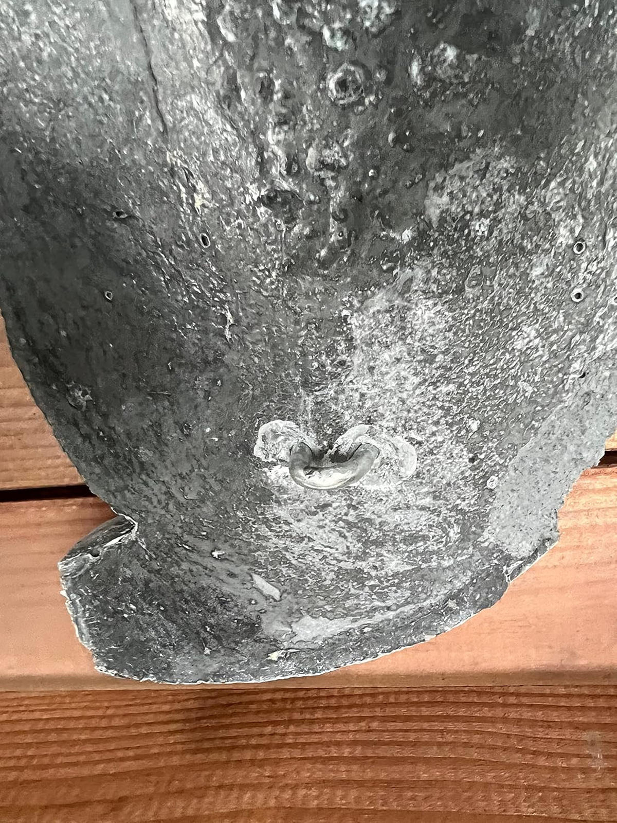 STEINFIGUR Loango Kongo afrikanischer Wandschmuck frostfest Steinguss - Grau, Stein (11/4/27cm) - stoneandstyle