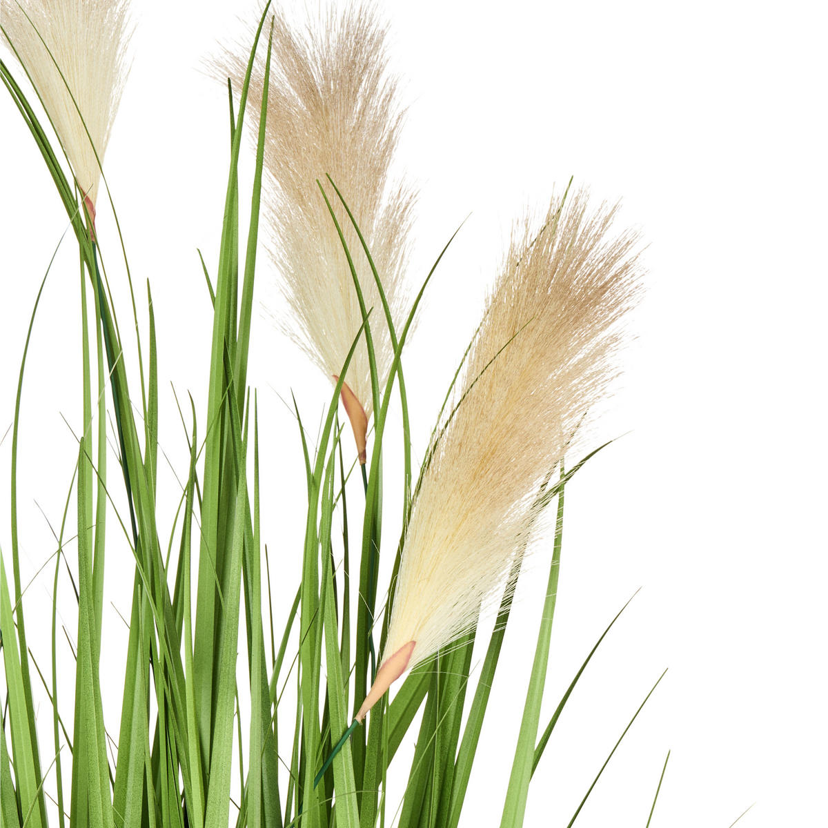 KUNSTPFLANZE 130 cm Grün Pampas Grass - Schwarz/Weiß, Kunststoff (130cm) - Beliani