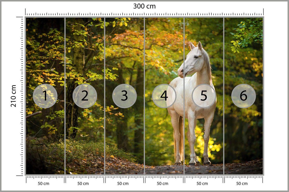 FOTOTAPETE für Schlafzimmer Weißes Pferd Wald Bäume Blätter 300x210 - Gelb/Beige, Papier (300/210cm) - Muralo