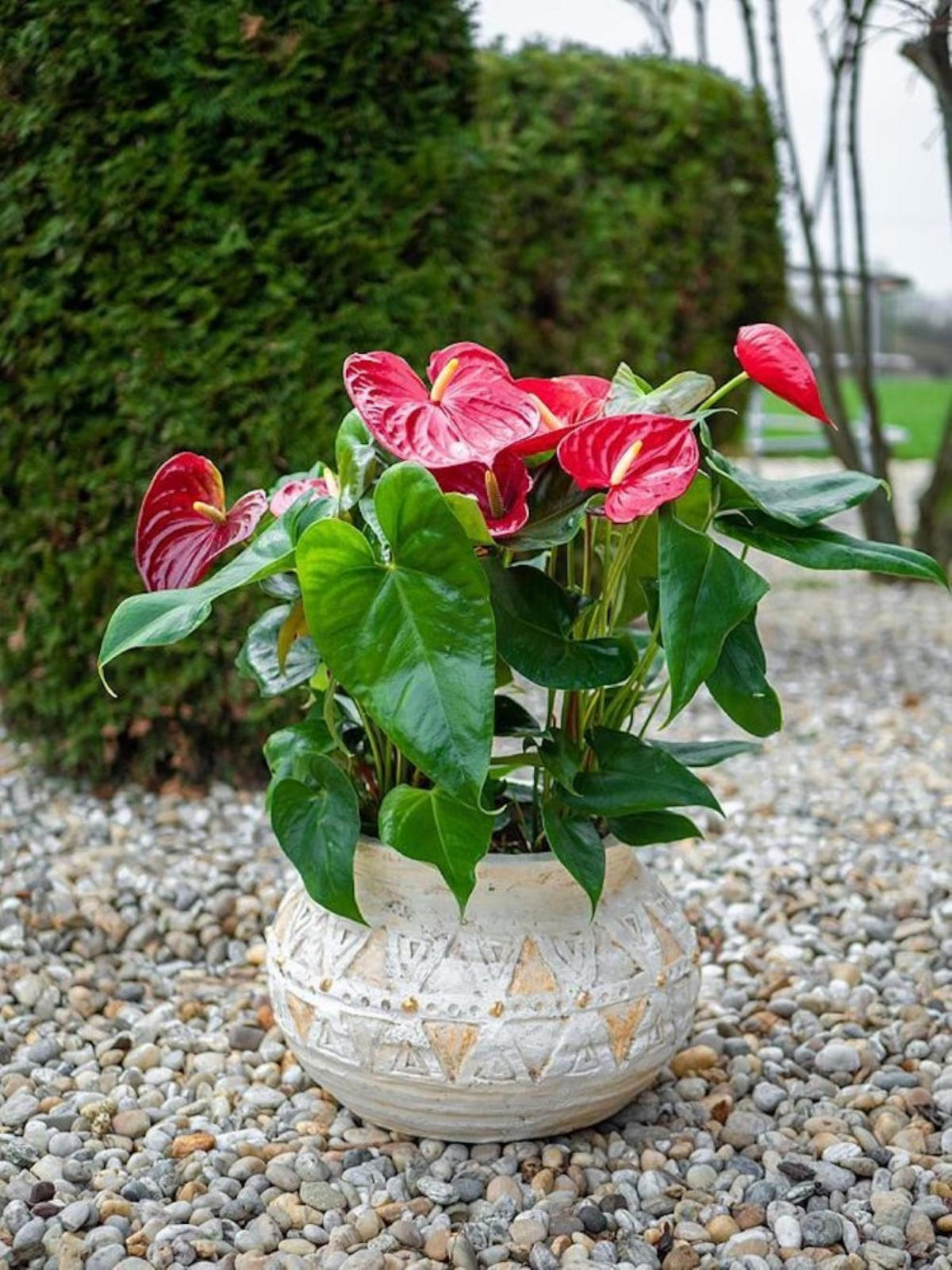 BLUMENTOPF mit Mosaik, hellbraun, Keramik, 36x36x23cm - Braun, Kunststoff (23cm) - PROREGAL