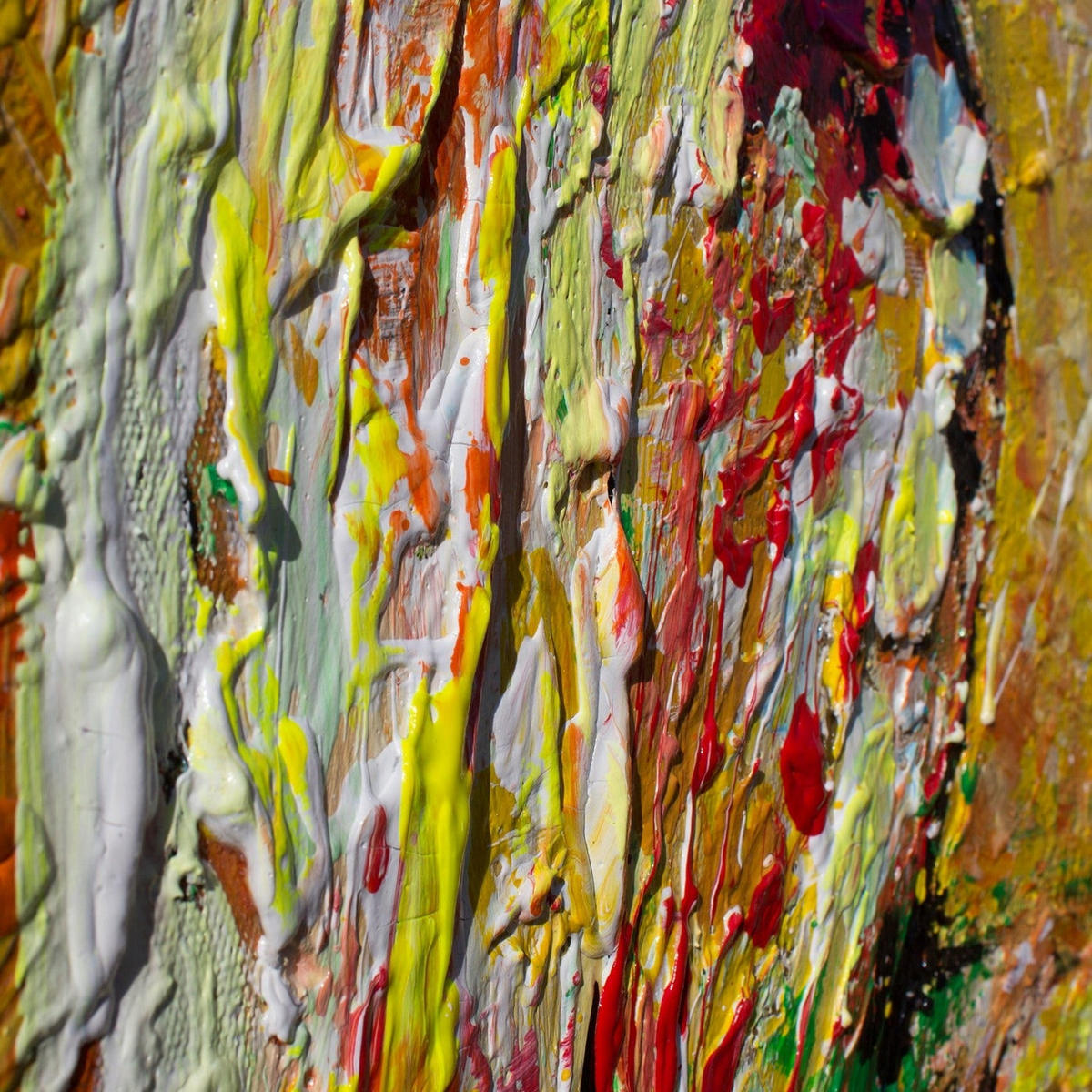 GEMÄLDE Papagei in der Sonne Schattenfugenrahmen Schwarz 100x100 cm - Schwarz, Holz (100/100cm) - YS-art gallery