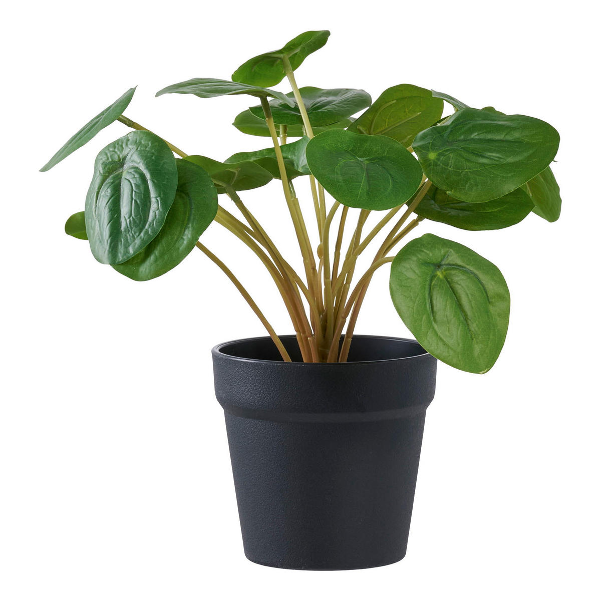 PELIA PE-Kunststoff Grün - Grün, Kunststoff (28cm) - tinkaro