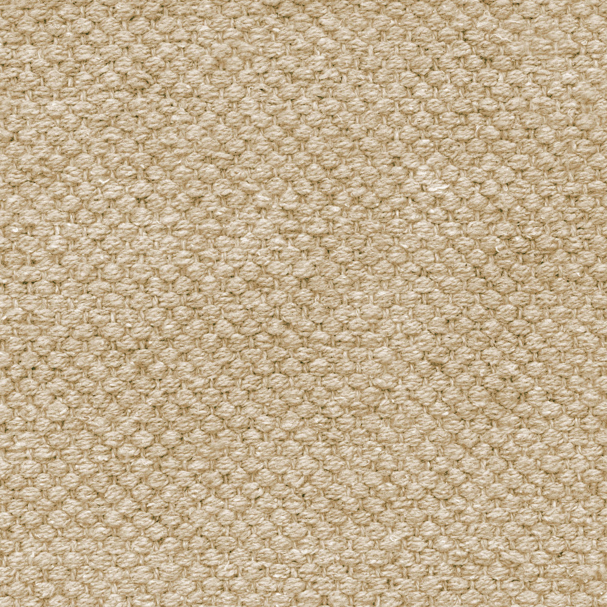 KURZFLORTEPPICH 120/160 cm Summer Breeze 350 - Creme, Textil (120/160cm) - Paco Home