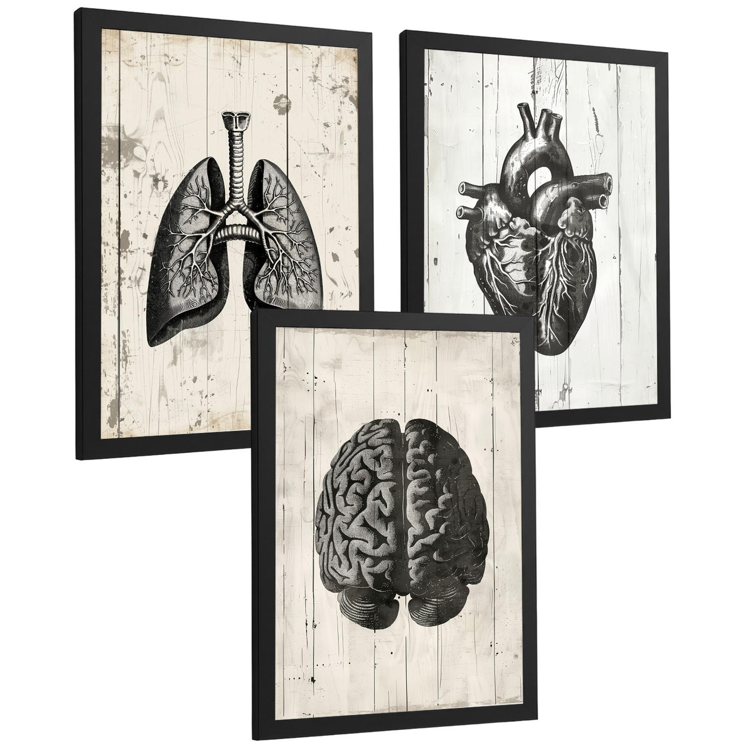 POSTER Set aus 3 Anatomie Mensch Drucke und mit Gehirn Herz Lungen Luftröhre Bronchien Industrielles Schwarz Weiß Design Größe Schwarzer Rahmen A4 - Schwarz, Papier (21/29.7/3cm) - Nacnic