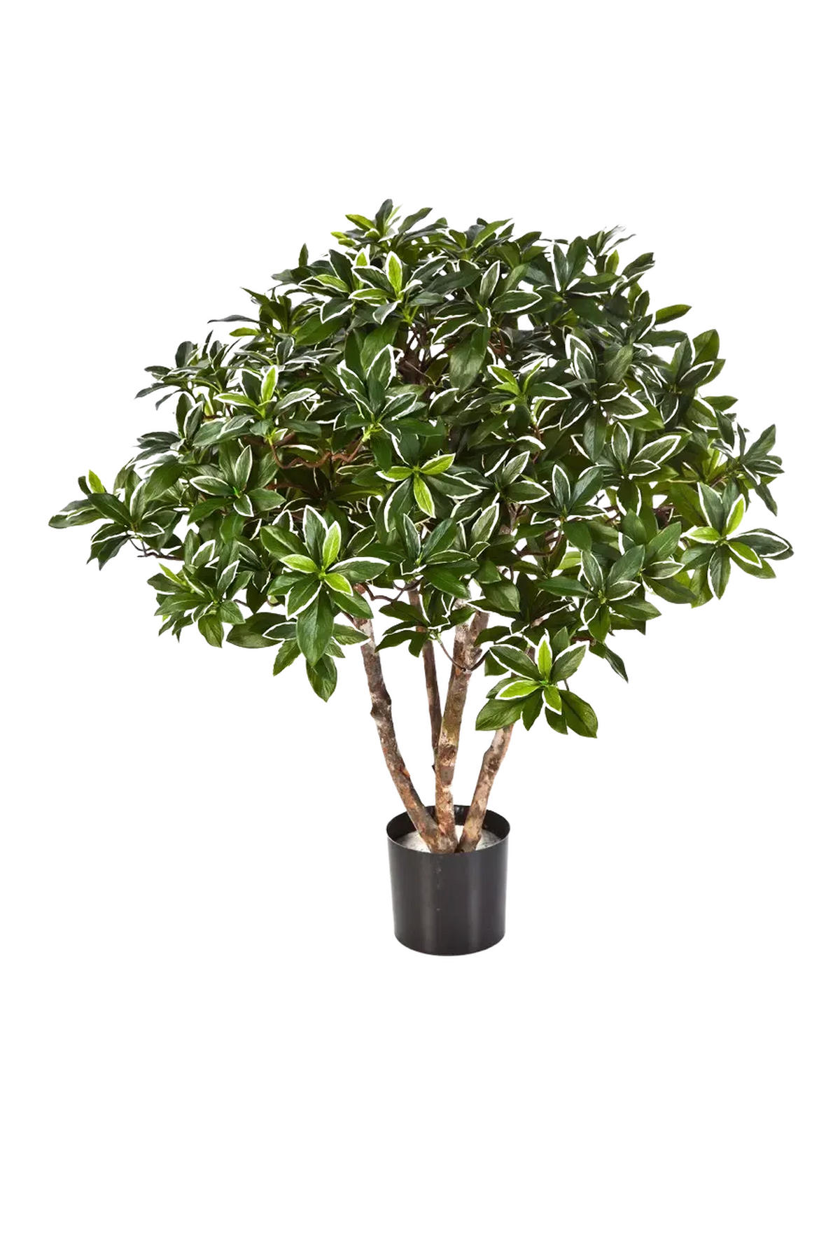 KUNSTBAUM Künstlicher japanischer Spindelstrauch - Wilma 75 cm - Multicolor, Kunststoff (75cm) - aplanta