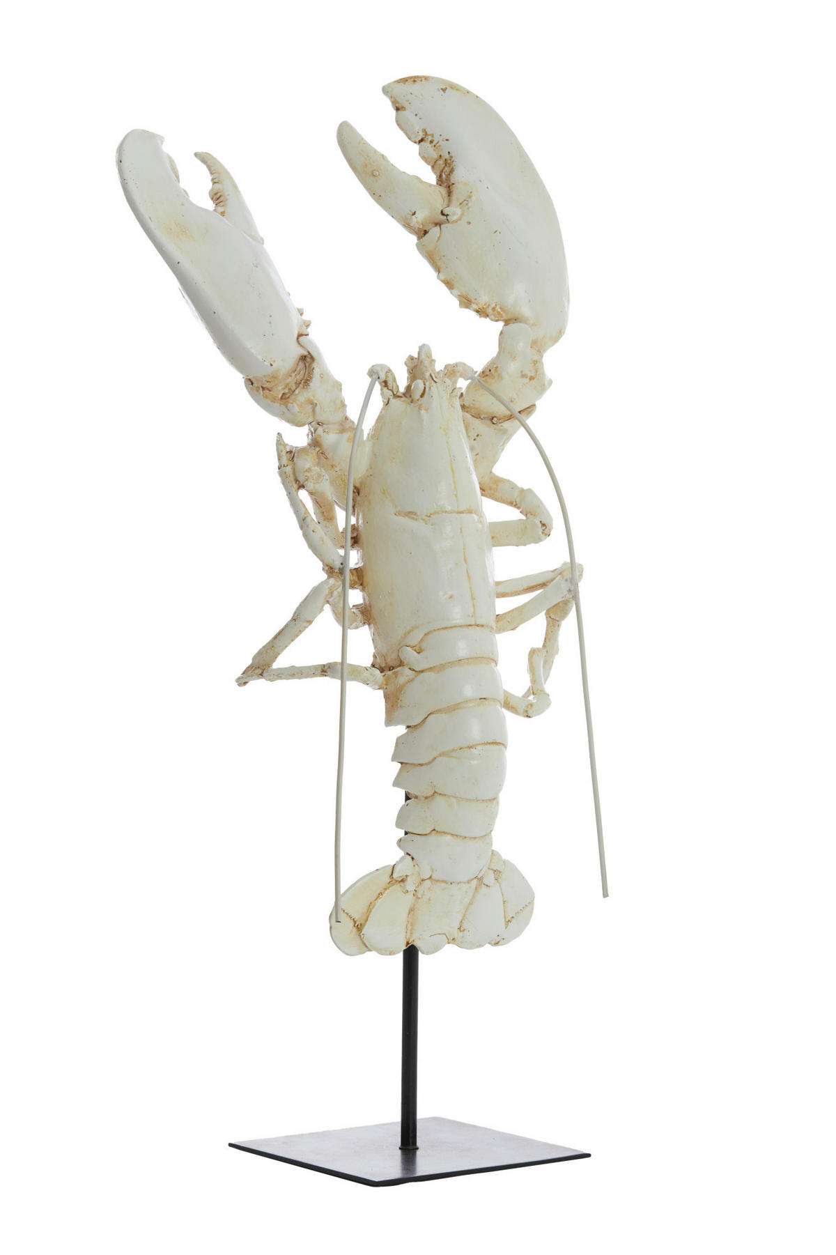 ORNAMENT Hummer Weiß 25/14/56,5 cm - Weiß, Kunststoff (14/56.5/25cm) - Light & Living