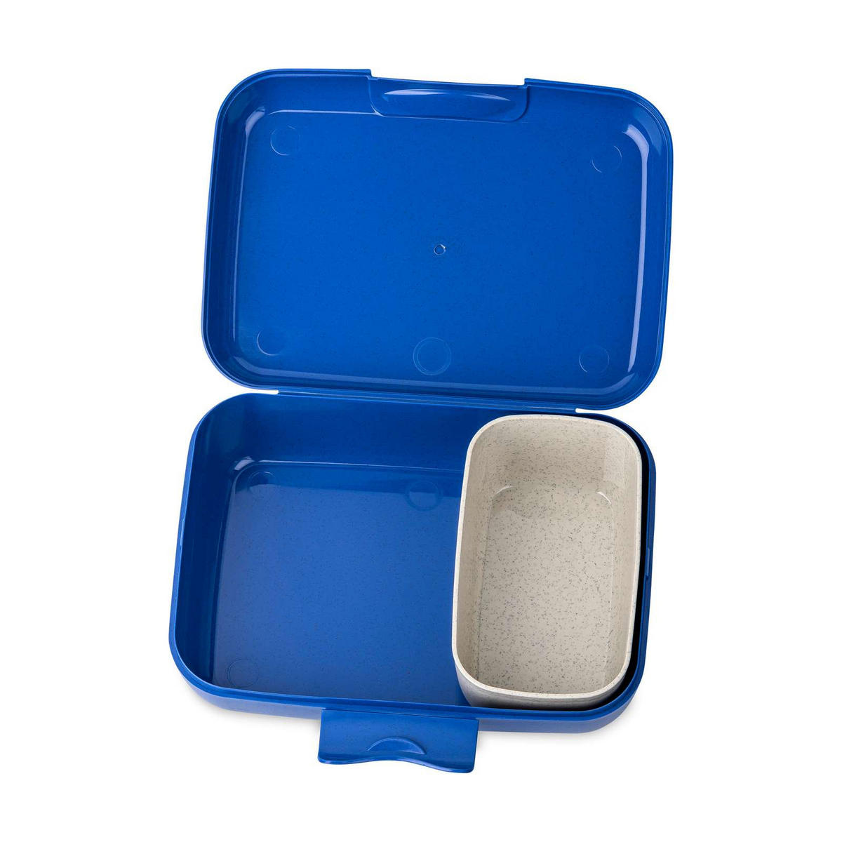BROTDOSE SpongeBob Candy L - Blau, Kunststoff (13.5/6.5/19cm)