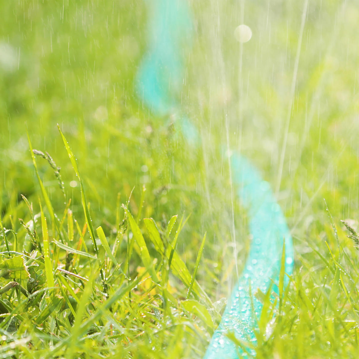 BEWÄSSERUNGSSCHLAUCH 5m - Grün, Kunststoff (3.5cm) - Relaxdays