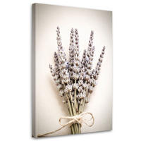 LEINWANDBILD @Pflanzen Natur Boho 70x100cm - Beige, Textil (70/100cm) - Feeby