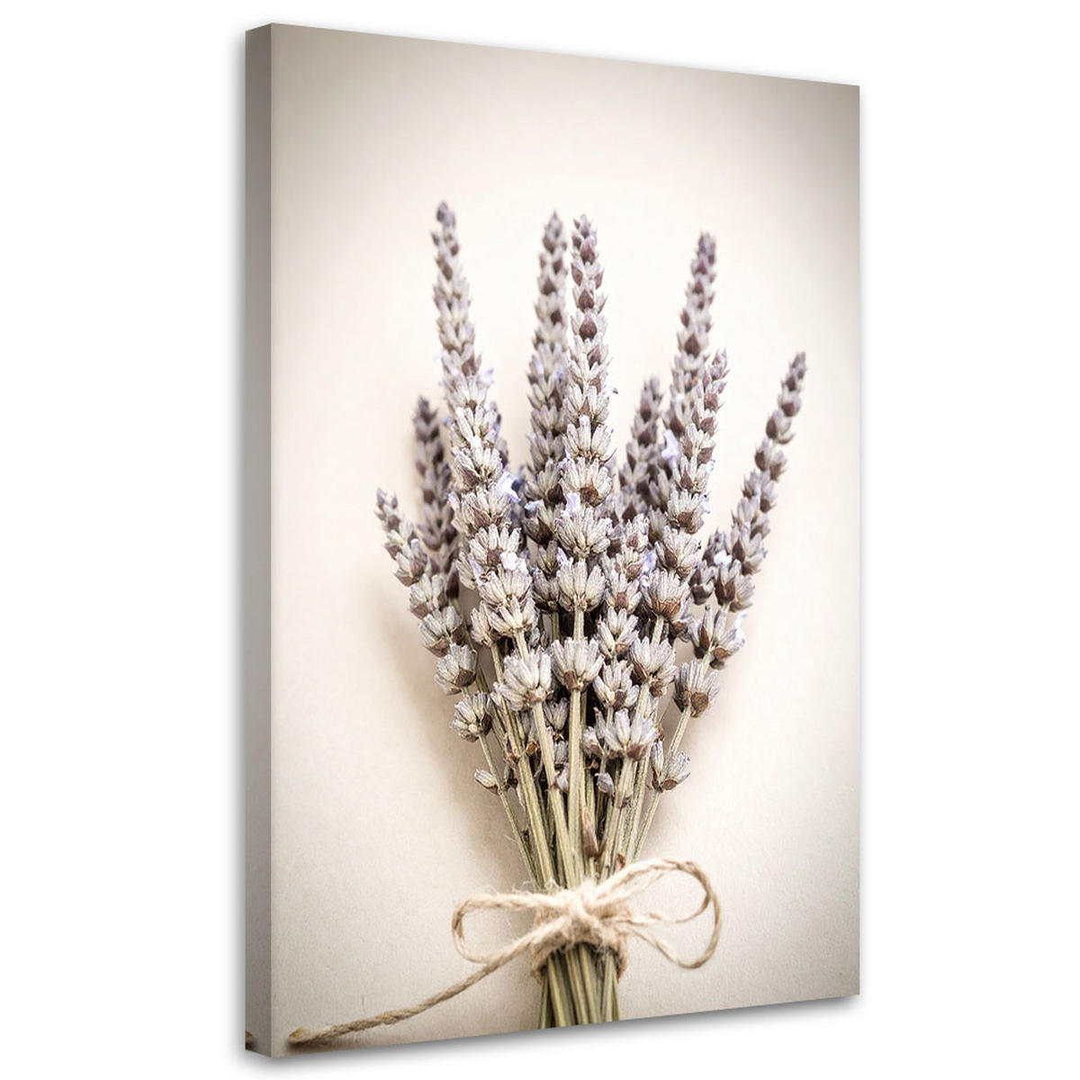 LEINWANDBILD @Pflanzen Natur Boho 70x100cm - Beige, Textil (70/100cm) - Feeby