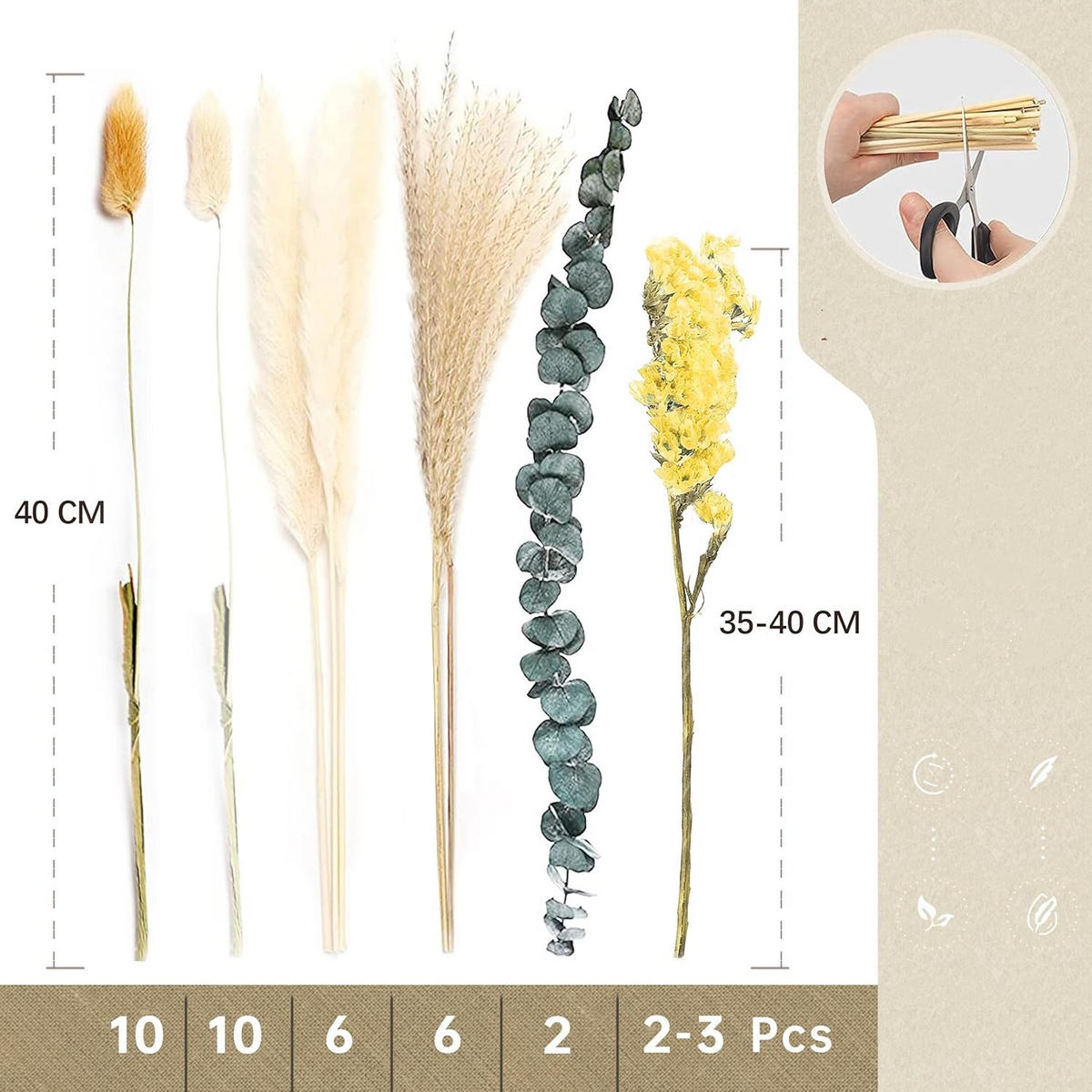 TROCKENBLUME 35 Stück, Für Home Hochzeit Esszimmertisch Deko - Multicolor, Naturmaterialien (5cm) - Kaket