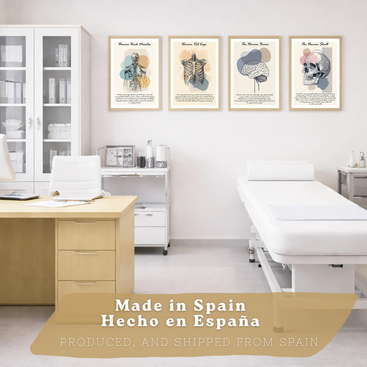 POSTER Set aus 4 Anatomie Mensch Lernposter Drucke und mit Muskeln Rücken Rippen Gehirn und Schädel Modernes Design Größe Leichter Holzrahmen A3 - Beige, Papier (29.7/42/3cm) - Nacnic