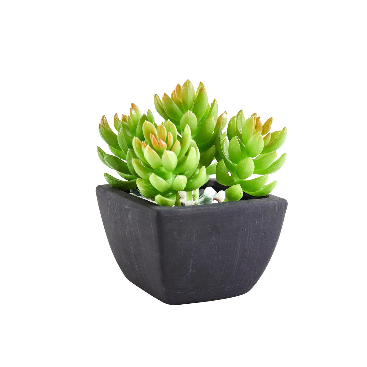 KUNSTPFLANZE Künstliche Sukkulente – Nepomuk 14 cm - Grün, Kunststoff (14cm) - aplanta