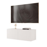 TV skrinka ANGEL biela závesná s LED osvetlením 100 cm - biela, kompozitné drevo (100/36/40cm) - Idohome
