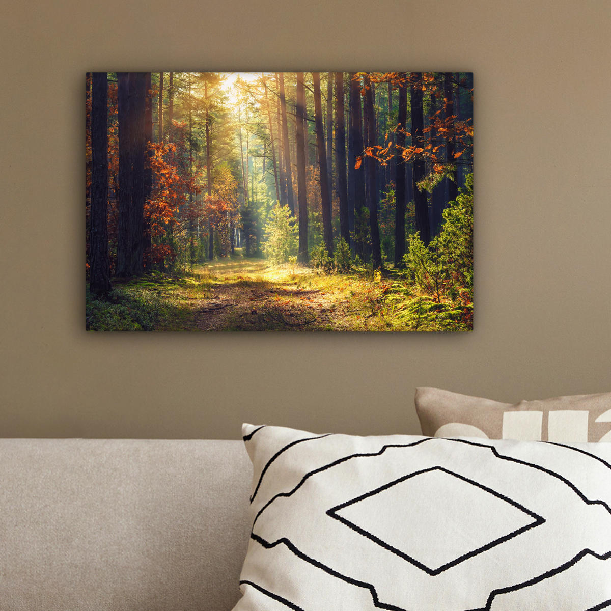 LEINWANDBILD Wald - Herbst - Bäume 30x20 cm - Dunkelgrün, Textil (30/20cm) - MuchoWow