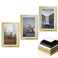 WANDBILDER 3er Set - 20x30 cm Goldrahmen - Wilde Berglandschaften - Goldfarben, Kunststoff (20/30cm) - ArtPrintCave