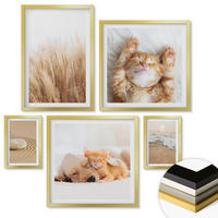 WANDBILDER 5er Set - 50x50 cm & 20x30 cm & 40x60 cm Goldrahmen - Niedliche Tiere, Katzen, Hunde, Strand - Goldfarben, Kunststoff (40/60cm) - ArtPrintCave