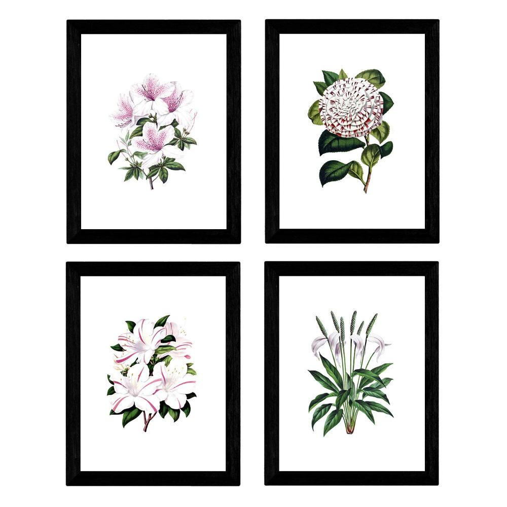 POSTER Set mit 4 Botanische Weiß Hintergrund Lila Blumen A3 Rahmenlos - Klar, Papier (29.7/3cm) - Nacnic