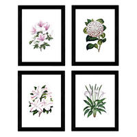 POSTER Set mit 4 Botanische Weiß Hintergrund Lila Blumen A3 Rahmenlos - Klar, Papier (29.7/3cm) - Nacnic