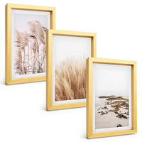 BILDER SET 3er Set - 20x30 cm Goldrahmen - Pampasgrasfelder und ein Boho-Strand - Goldfarben, Kunststoff (20/30cm) - TULUP
