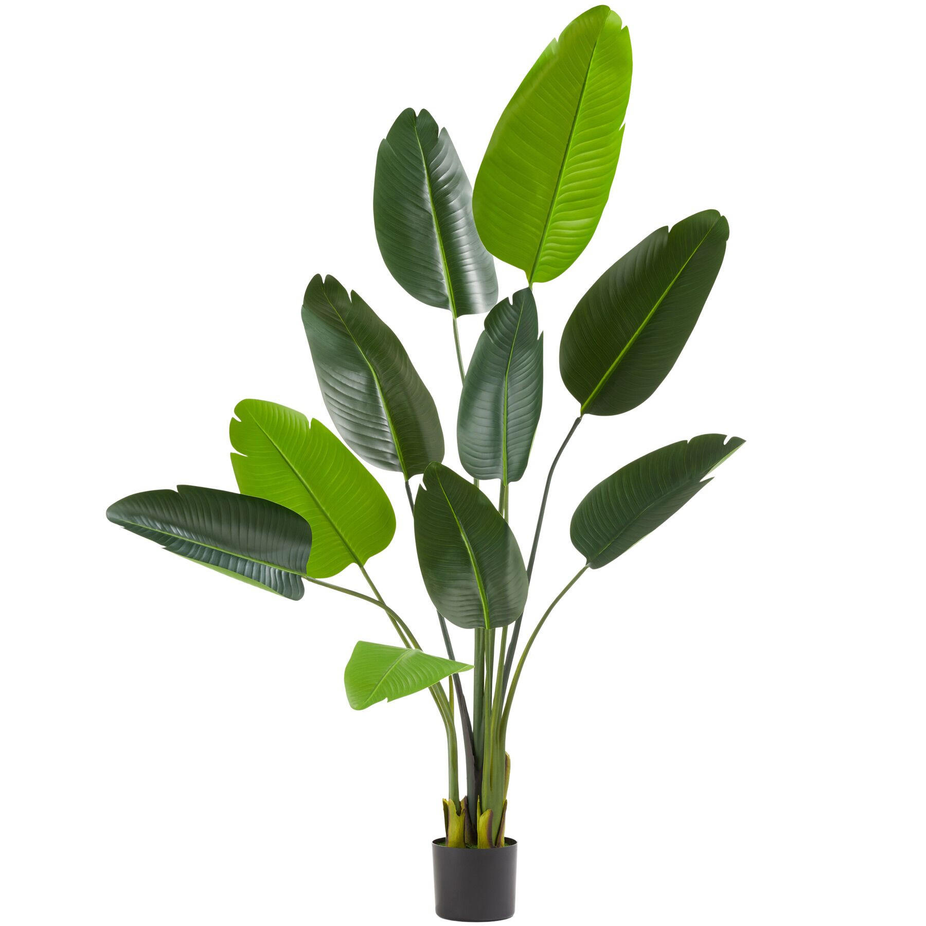 KÜNSTLICHER-PARADIESVOGELBAUM Tropic,stabiler Kunststoff-Blumentopf,grün - Grün, Kunststoff (160cm) - tectake