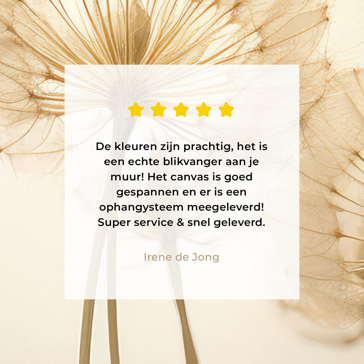 LEINWANDBILD Sonnenlicht - Löwenzahn - Botanisch - Blumen Wandbild 40x30 cm - Creme, Textil (40/30cm) - MuchoWow