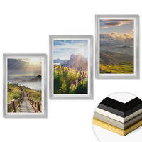 WANDBILDER 3er Set - 40x60 cm Silberner Rahmen - Berglandschaft mit Blumen - Silberfarben, Kunststoff (40/60cm) - ArtPrintCave
