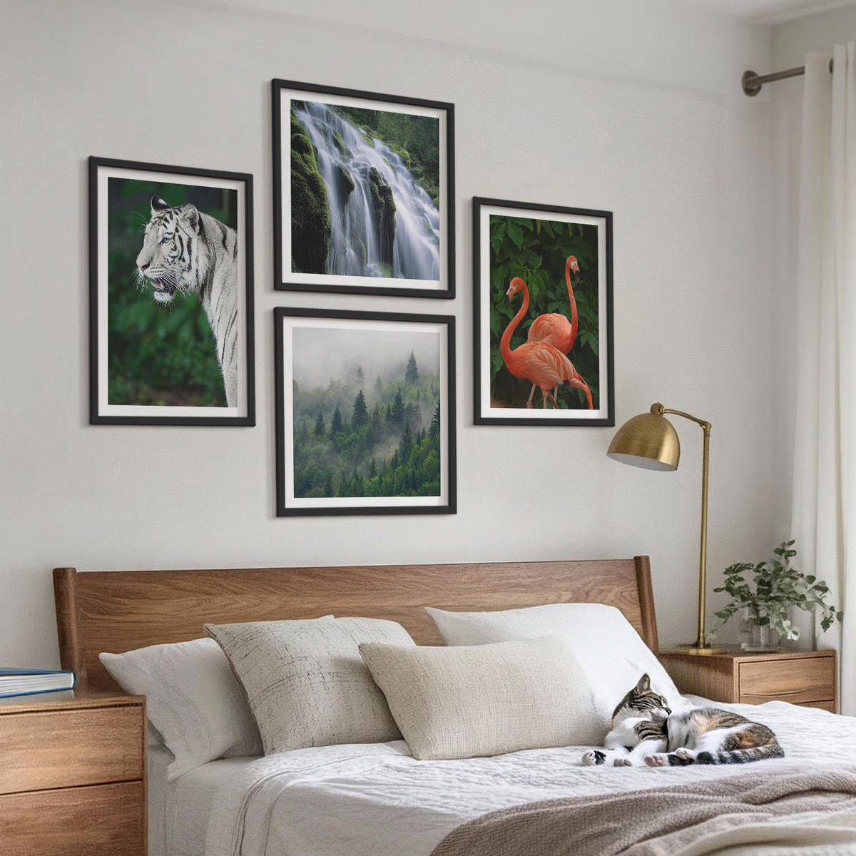 WANDBILDER 4er-Set - 50x50 cm & 40x60 cm Schwarzer Rahmen - Tiger Wasserfall Flamingos Natur - Schwarz, Kunststoff (50/50cm) - ArtPrintCave