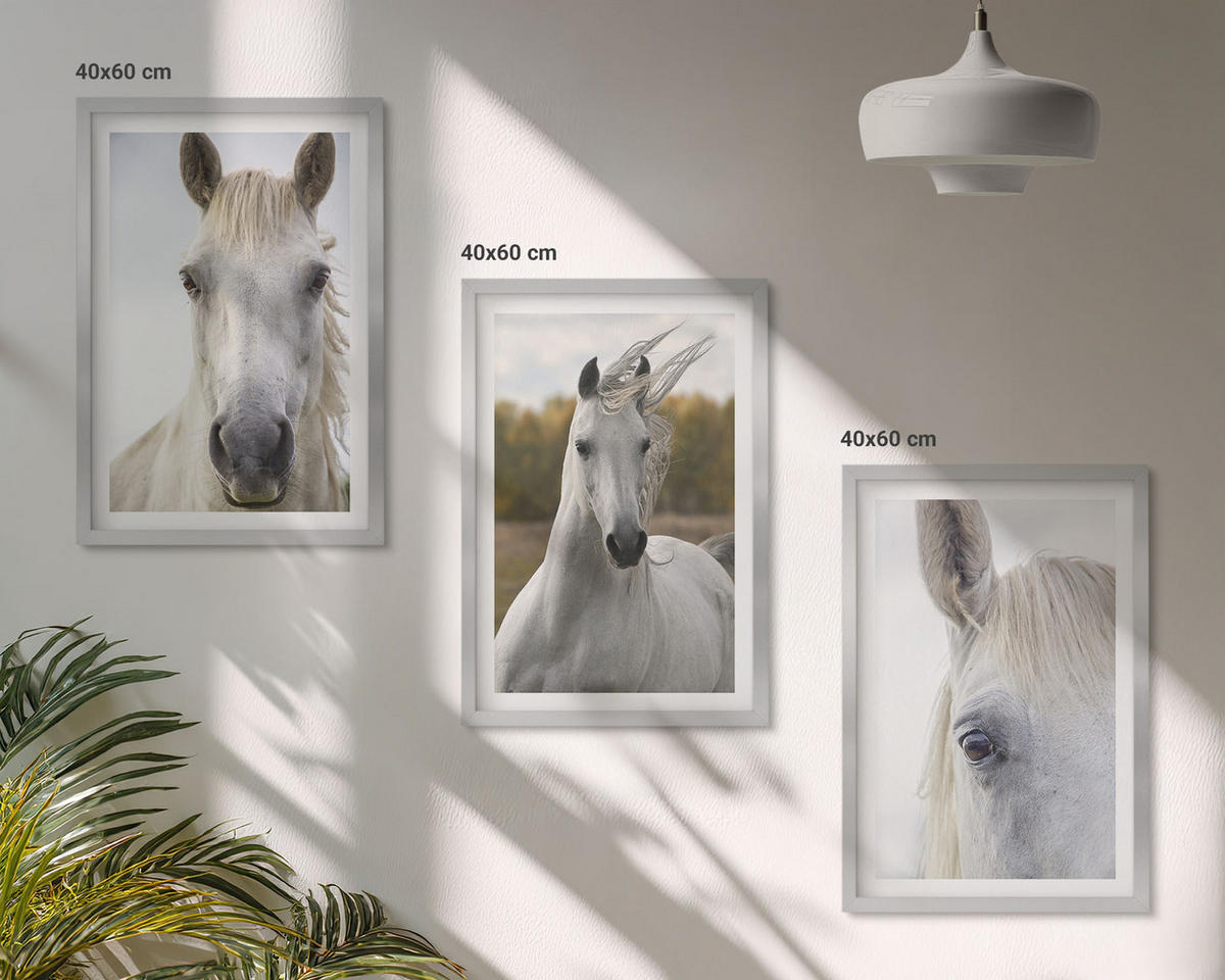 WANDBILDER 3er Set - 40x60 cm Silberner Rahmen - Weiße Pferde in der Natur - Silberfarben, Kunststoff (40/60cm) - ArtPrintCave
