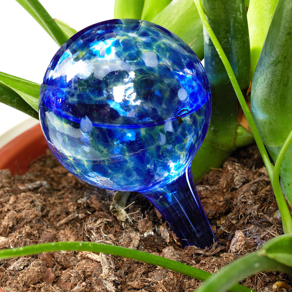 2XBEWÄSSERUNGSKUGEL - Blau, Glas (6/15/6cm) - Relaxdays