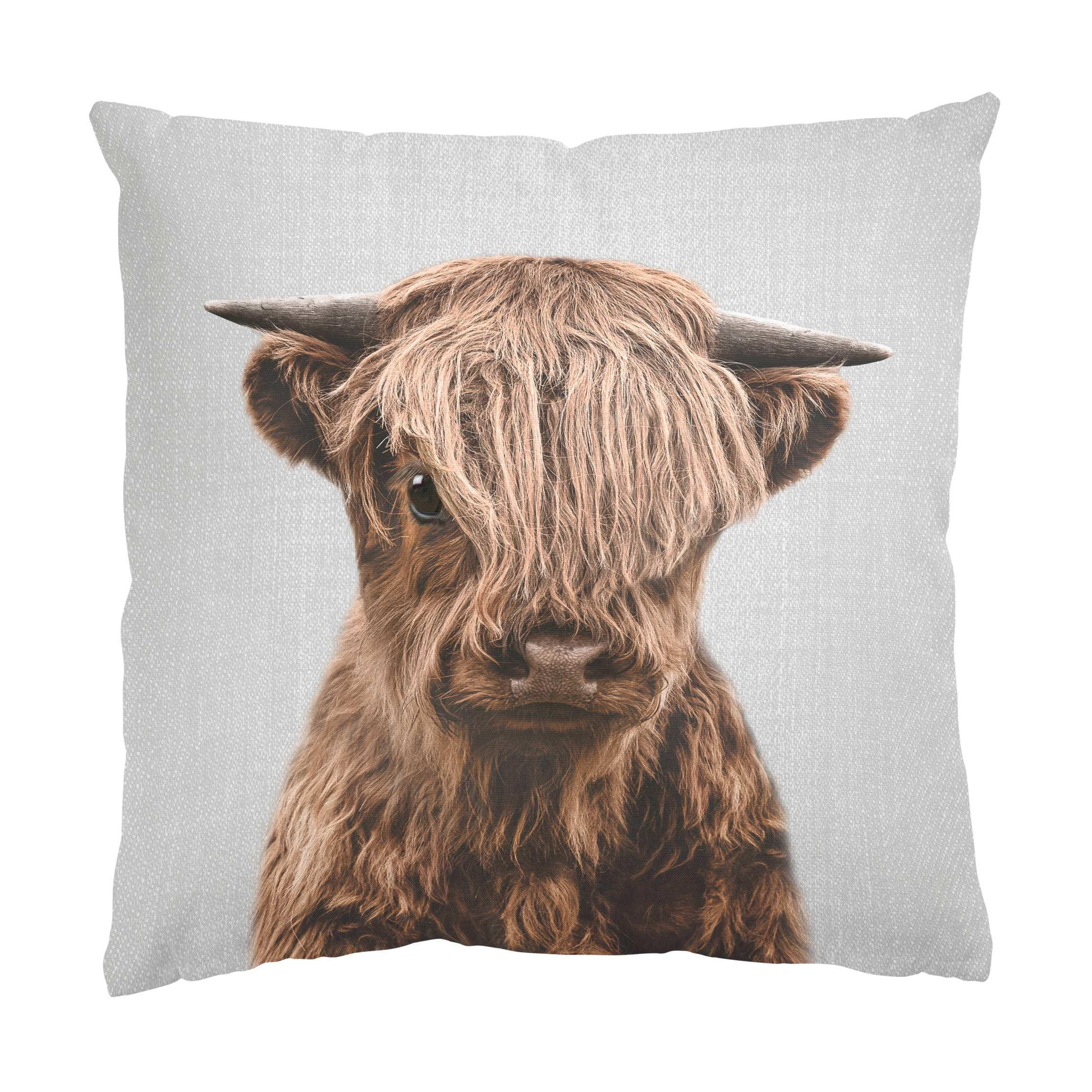 KISSENBEZUG Baby Hochlandrind Henri 40/40 cm - Schwarz, Textil (40/40cm) - Bilderwelten